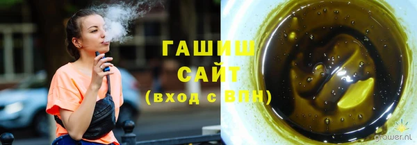 гашик Весьегонск