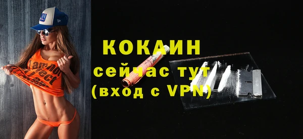 соль ск Ветлуга