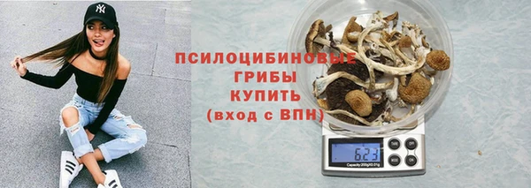 гашик Весьегонск
