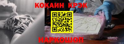 шишки Гай