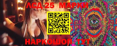 ECSTASY Гатчина