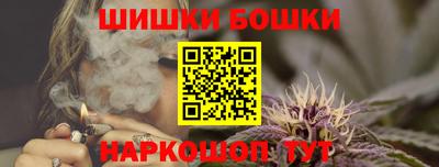 шишки Гай