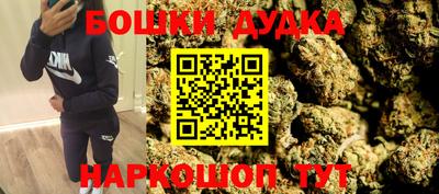 шишки Гай