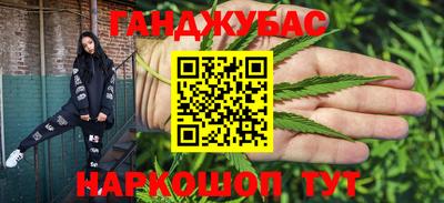 шишки Гай
