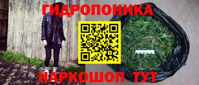 ECSTASY Гатчина