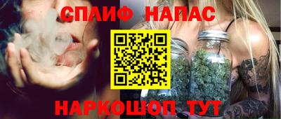 ECSTASY Гатчина