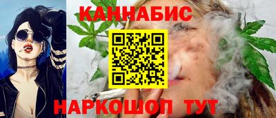 шишки Гай
