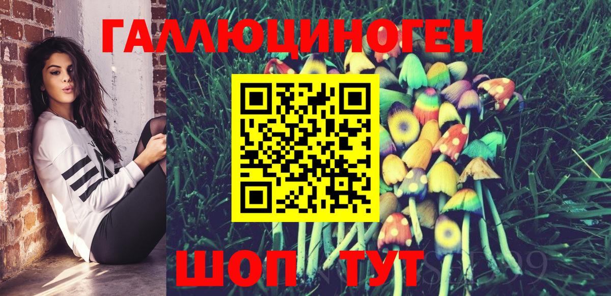 Сорочинск  Псилоцибиновые грибы Psilocybine cubensis  Вход с VPN 