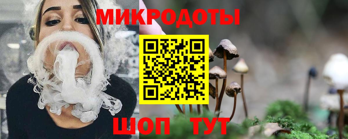 Галлюциногенные грибы Psilocybe Сорочинск