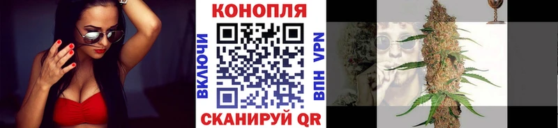 Марихуана план  Сорочинск 